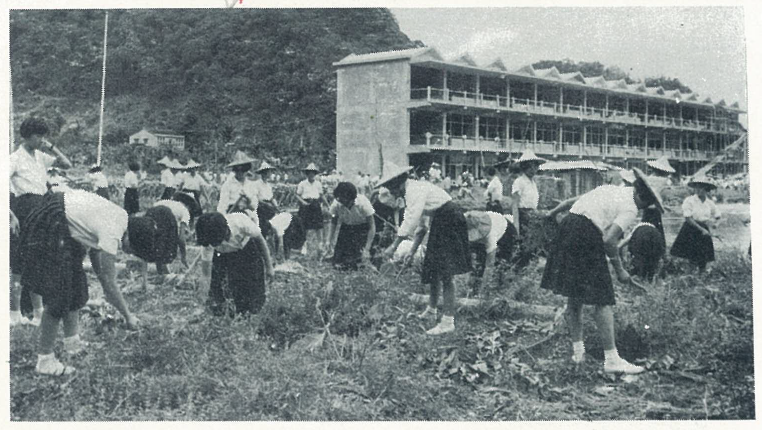 58志清樓
