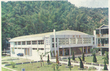 66體育館(剛興建完成)